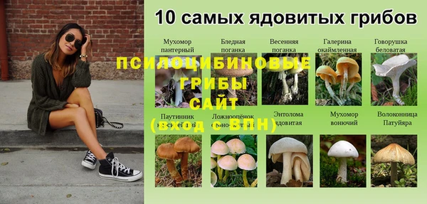 MDMA Алексеевка
