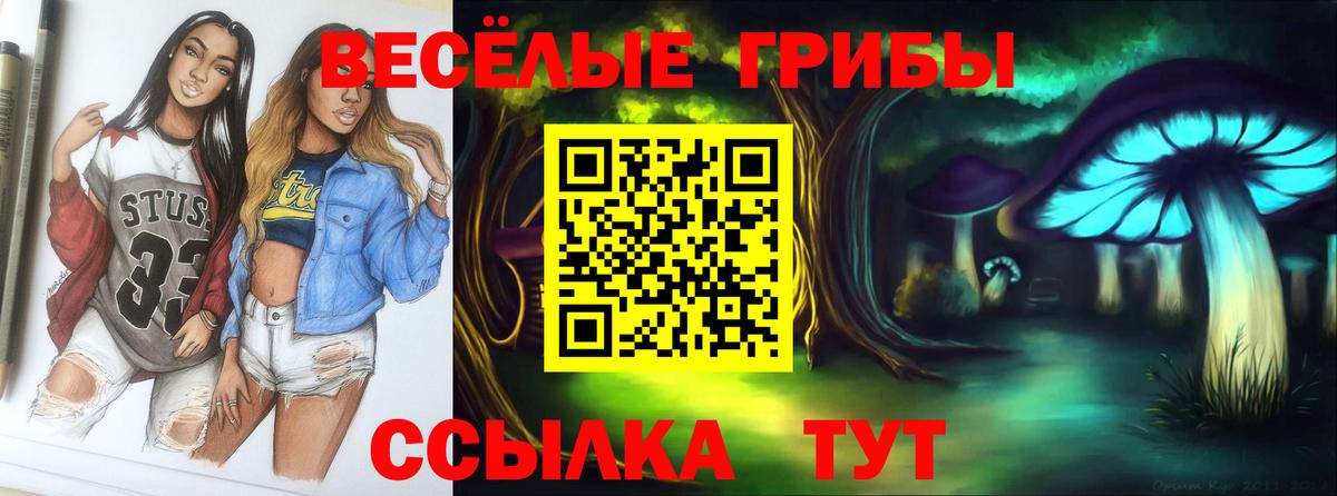 Галлюциногенные грибы MAGIC MUSHROOMS Старая Купавна