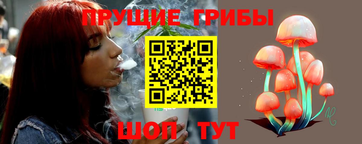 Галлюциногенные грибы Cubensis  Галлюциногенные грибы прущие грибы  Старая Купавна  Вход с VPN 